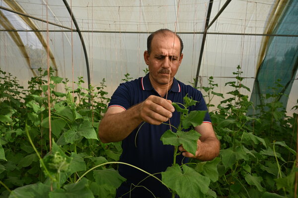 Farmář v Iráku